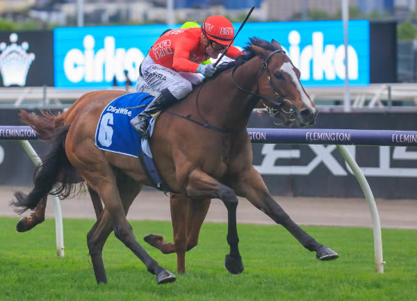 Revolutionary Miss is back in the winning groove - image Grant Courtney