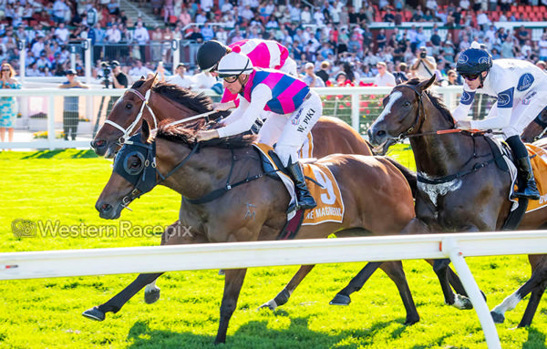 Rey Magnerio wins the G3 Gold Rush in a thriller - image Western Racepix