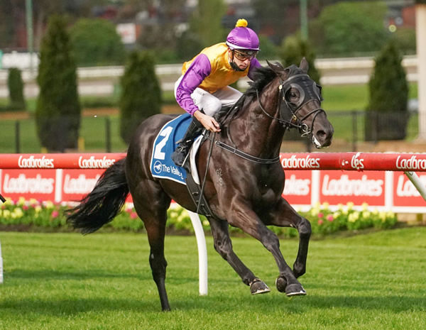 Rhinoceros winning at Moonee Valley on Friday. Photo: Scott Barbour (Racing Photos)