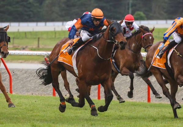 Richard Stomper won the Loader Railway And Telegraph 1996 (1600m) at Ashburton on Sunday.  Photo: Race Images South