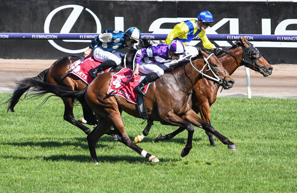 Apulia was beaten a head by Riff Rocket in the G1 Victoria Derby - image Racing Photos