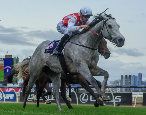 Right to Party wins the G3 Aurie's Star - image Grant Courtney