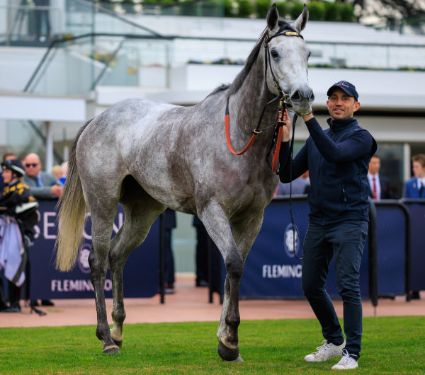 Right to Party is now a two time stakes-winner - image Grant Courtney 