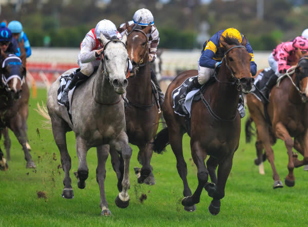 Right to Party gets the better of Arkansaw Kid in G2 Gilgai Stakes - image Grant Courtney 