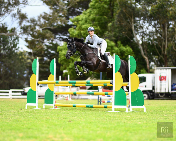 Aria Baker on Solloway, a 5YO mare by Spill the Beans - image Elegant Exposures