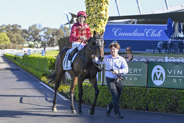 Promising Future Ahead For Ciaron Maher's Ripley - Image Bradley Photos 