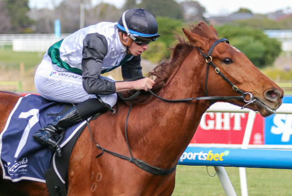 Rise At Dawn in the hands of Mick Dee scored a comfortable victory at Caulfield. Photo: Bruno Cannatelli