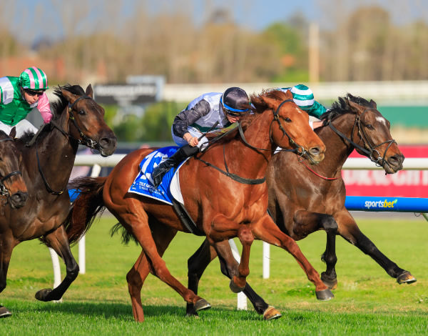 Rise at Dawn won the Listed Heatherly Stakes - image Grant Courtney