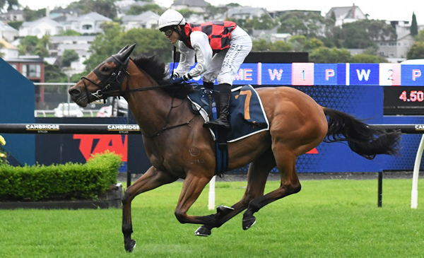 Rise Companions winning at Ellerslie on Boxing Day.  Photo: Kenton Wright (Race Images)
