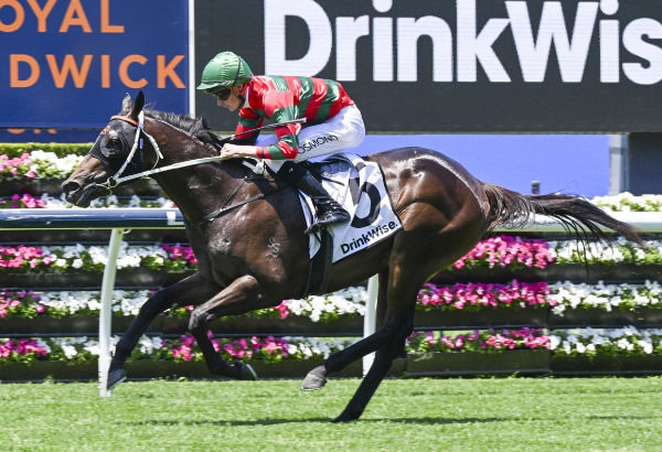 Rivellino strides clear at Randwick - image Bradley Photography