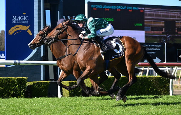 Rivendell wins on debut at Wyong - image Bradley Photography