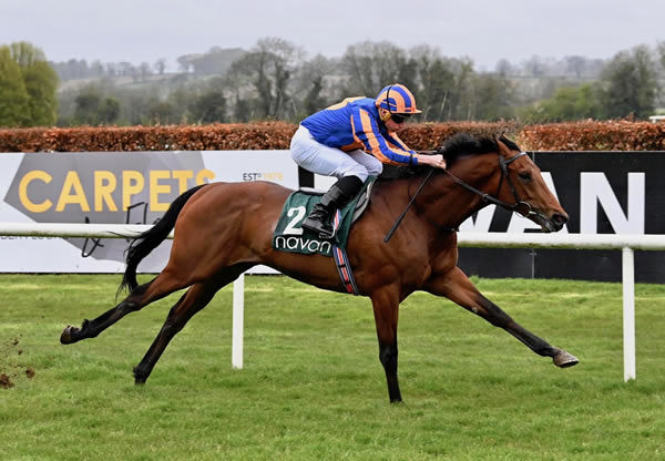 River Tiber is shooting for three wins in a row - image Coolmore