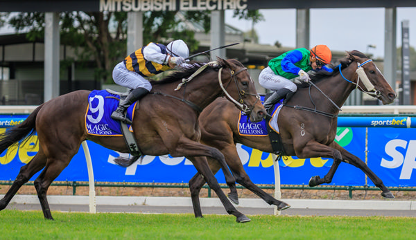 Roadcone takes out the Magic Millions Digital Handicap in style. Photo: Grant Courtney