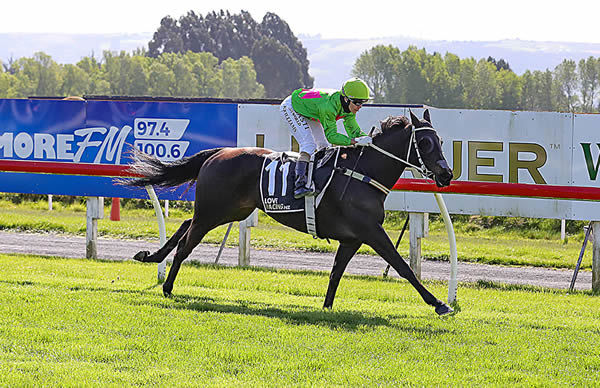 The Jackie Jones-trained Robina Joy contests Wednesday’s Gr.3 Valachi Downs Canterbury Breeders’ Stakes (1400m) at Riccarton Photo: Monica Toretto