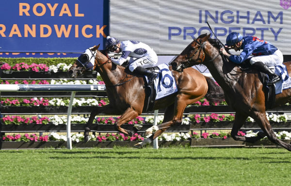 Robusto wins the $2million G2 Ingham  - image Steve Hart