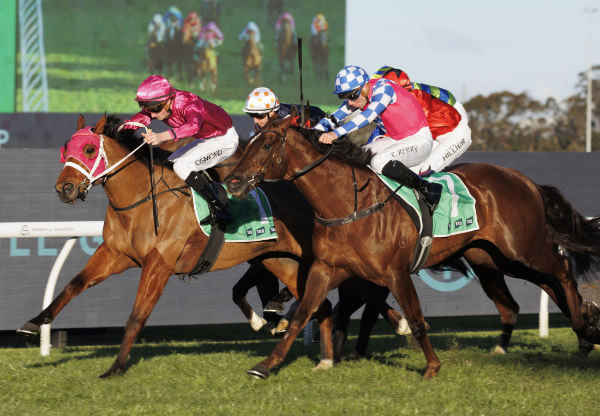 Robusto dives through to win - image Steve Hart 