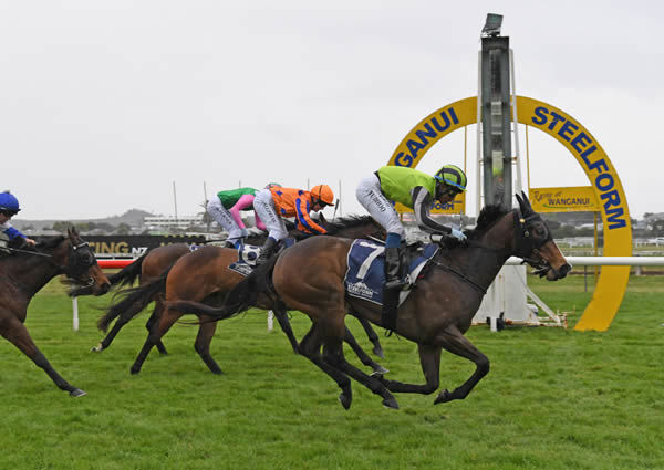 Rocababy takes out the Listed The O’Leary’s Fillies Stakes (1200m) at Wanganui Photo credit: Race Images Peter Rubery