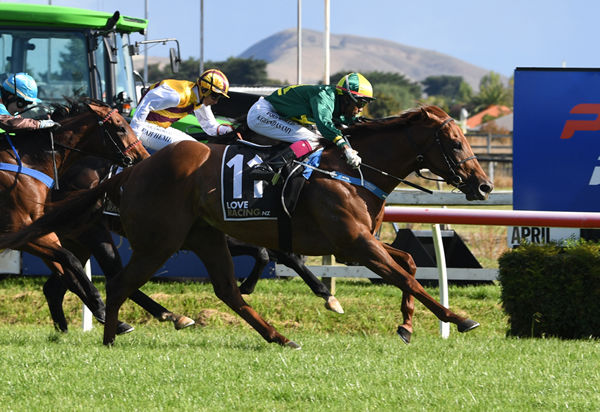 Roch ‘N’ Horse will contest the Gr.1 Newmarket Handicap (1200m) at Flemington on Saturday. Photo: Race Images