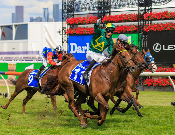 Roch 'n' Horse wins the G1 Champions Sprint beating Nature Strip - image Grant Courtney 