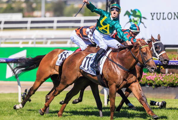 Roch 'n' Horse wins the G1 Newmarket Handicap - image Grant Courtney