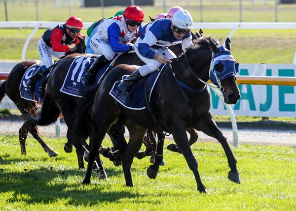 Rock Island Line winning at Riccarton. Photo: Race Images South