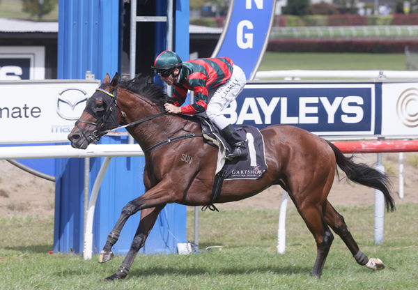 Rocket Spade cruises to the line at Tauranga to complete his preparation for the Gr.1 Australian Derby (2400m) next month Photo Credit: Trish Dunell