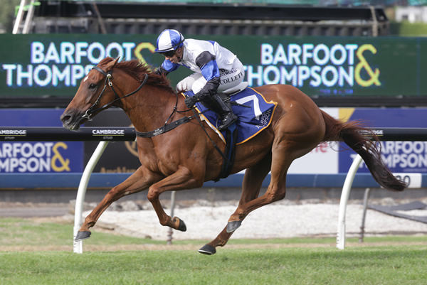 Sam Collett and Roger That cause an upset as they win the Gr.1 Barfoot & Thompson Auckland Cup. Photo: Trish Dunell