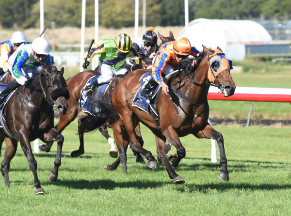 Romancing The Moon winning the Gr.1 Levin Classic (1600m) at Trentham on Saturday. Photo: Peter Rubery (Race Images Palmerston North)