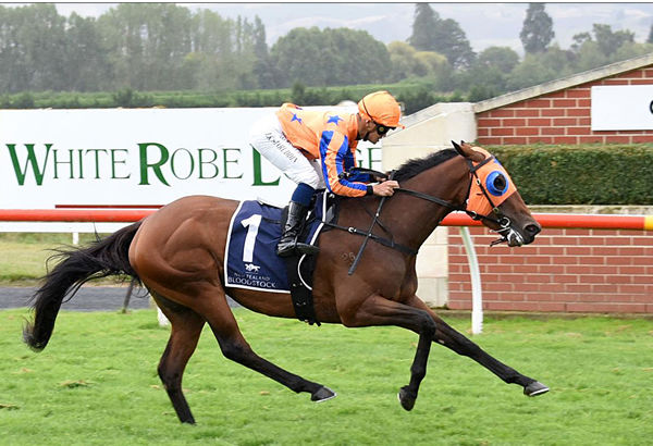 Romancing The Stone is well clear at the finish of the Listed NZB Insurance Stakes (1400m) at Wingatui Photo: Tayler Strong