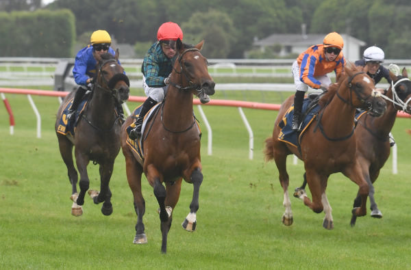 Romanoff on his way to winning at Otaki on Friday.   Photo: Peter Rubery (Race Images Palmerston North)