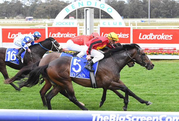 Romantic Encounter gets the cash over 1300m - image Brett Holburt / Racing Photos