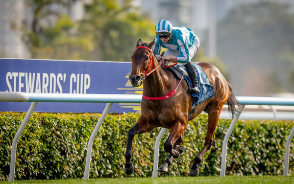Romantic Warrior (IRE) wins the G1 Stewards' Cup - image HKJC