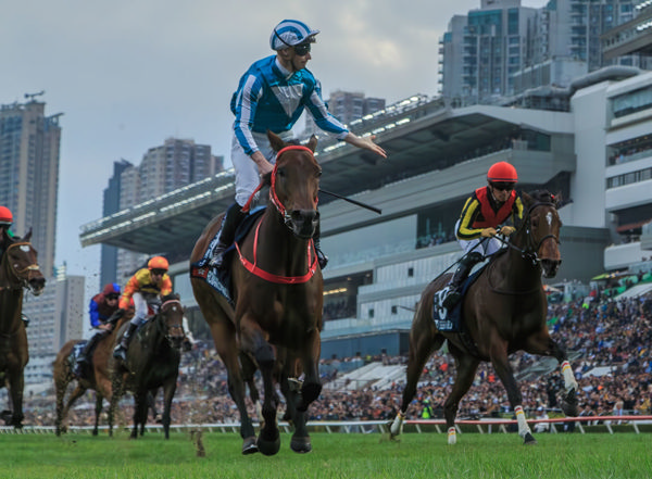 Romantic Warrior wins his third Hong Kong Cup under James McDonald. Photo: Grant Courtney