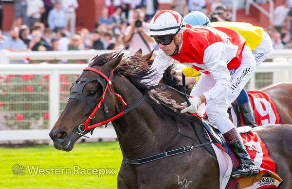 Rope them In takes out the Listed RS Crawford Stakes - image Western Racepix