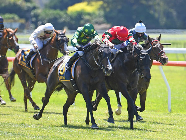 Rose 'N' Power (red) landed the Listed Courtesy Ford Levin Stakes (1200m) at Otaki on Thursday. Photo: Peter Rubery (Race Images Palmerston North)