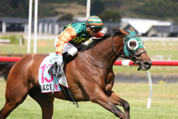 Rosso winning the Gr.3 Totara Lodge Trentham Stakes (2100m) at Trentham on Saturday.  Photo: Peter Rubery (Race Images)