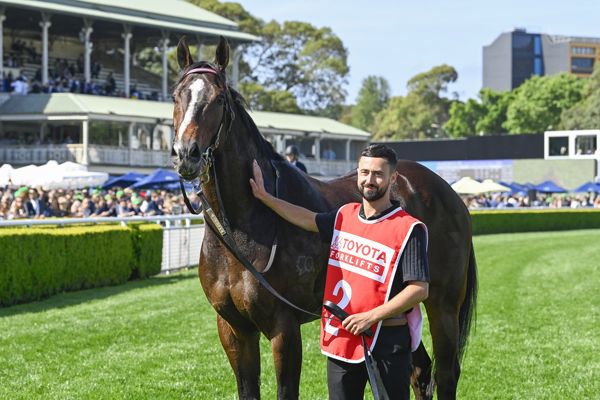 Rothfire is the pride of Queensland tonight - image Bradley Photos 