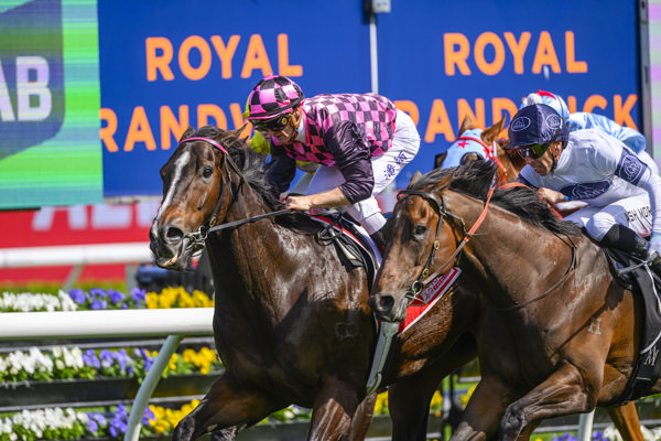 Rothfire wins the G3 Sydney Stakes - image Bradley Photos