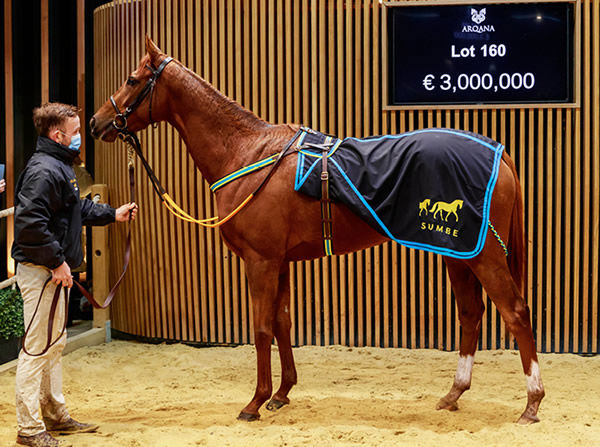 Rougir is the most expensive horse ever sold through the Arqana sale ring.