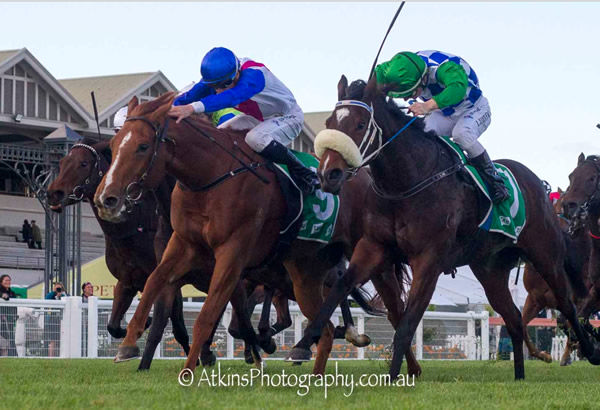 Royal Merchant is the first G1 winner for Merchant Navy - image Atkins Photography
