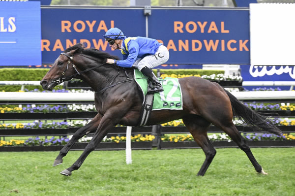 Royal Patronage (Fr) makes a big impression winning the G2 Tramway - image Steve Hart