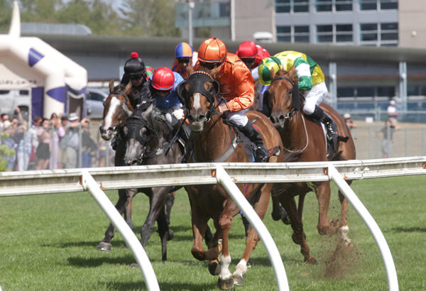 Hard up against the rail, Royal Performer has the situation under control as he wins the Gr.1 Herbie Dyke Stakes (2000m) at Te Rapa Photo Credit: Trish Dunell