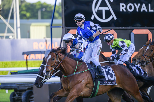 Royal Supremacy (IRE) wins the G1 Metrop - image Bradley Photography