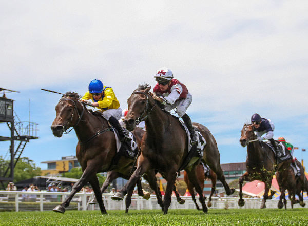 Ruakaka Raider (nearest camera) prevails in the Vale Colin McKenna (1700m) at Caulfield Photo: Bruno Cannatelli