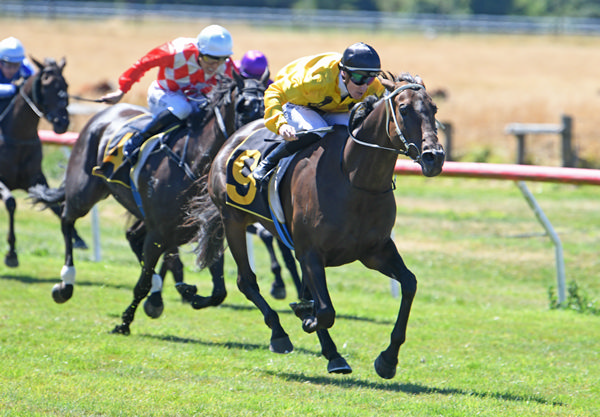 Ruby Rocks winning the Wairarapa Cup (2050m) at Tauherenikau on Tuesday.  Photo: Peter Rubery (Race Images Palmerston North)