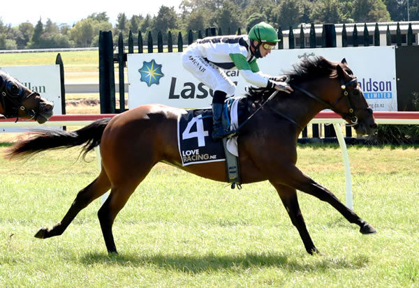 Windsor Park stud graduate Rudyard winning on debut at Rotorua. Photo: Kenton Wright (Race Images)