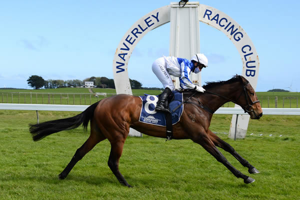 Rue Cler winning at Waverley on Thursday. Photo: Peter Rubery (Race Images Palmerston North)