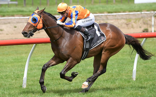 Justify three-year-old Rule of Law claims the Ultimate Mazda Maiden 3YO (1400m) at Tauranga.  Photo: Kenton Wright (Race Images)