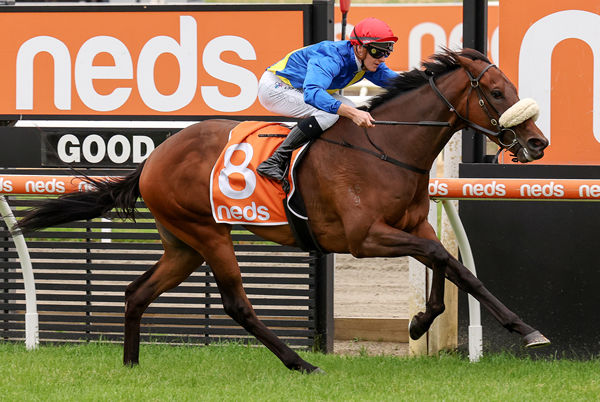Running on Time goes two for two at Mornington - image George Sal/ Racing Photos