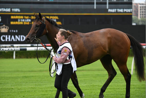 Russian Conquest will be on her way to the Gold Coast - image Steve Hart